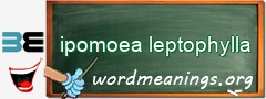 WordMeaning blackboard for ipomoea leptophylla